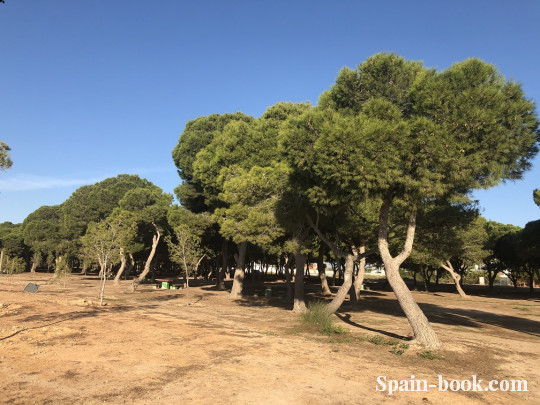 Бунгало Новый резиденциальный комплекс рядом с пляжем в Santiago de la Ribera / Мурсия, Коста Бланка, Сантьяго-де-ла-Рибера
