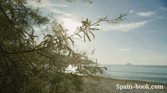 Апартаменты Новый резиденциальный комплекс рядом с пляжем в Вийяхойоса, Коста Бланка, Вильяхойоса