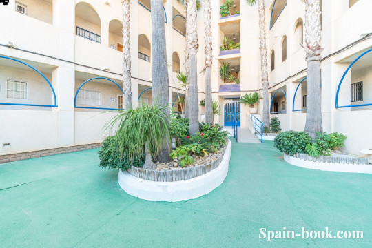 Апартаменты Апартаментs c видом на море в Миль Пальмерас / Ориуэла Коста, Коста Бланка, Миль Пальмерас