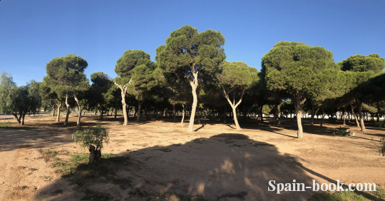 Бунгало Новый резиденциальный комплекс рядом с пляжем в Santiago de la Ribera / Мурсия, Коста Бланка, Сантьяго-де-ла-Рибера