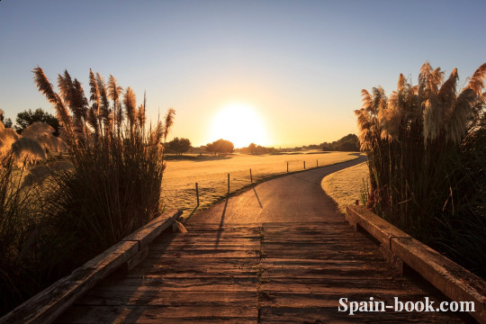 Виллы Новые виллы рядом с гольфом Lo Romero Golf и пляжем в Pilar de la Horadada, Коста Бланка, Пилар де ла Орадада